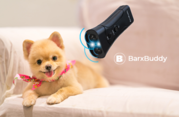 Why BarxBuddy Is The Top Ranked Dog Training Device
