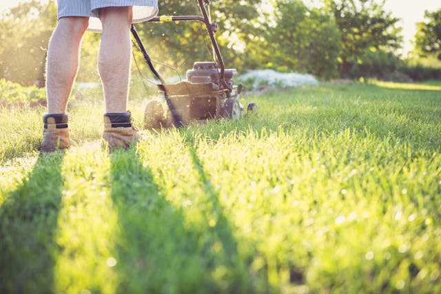 Sustainable Lawn Care: How Thoughtful Practices Build Healthier Yards and Communities