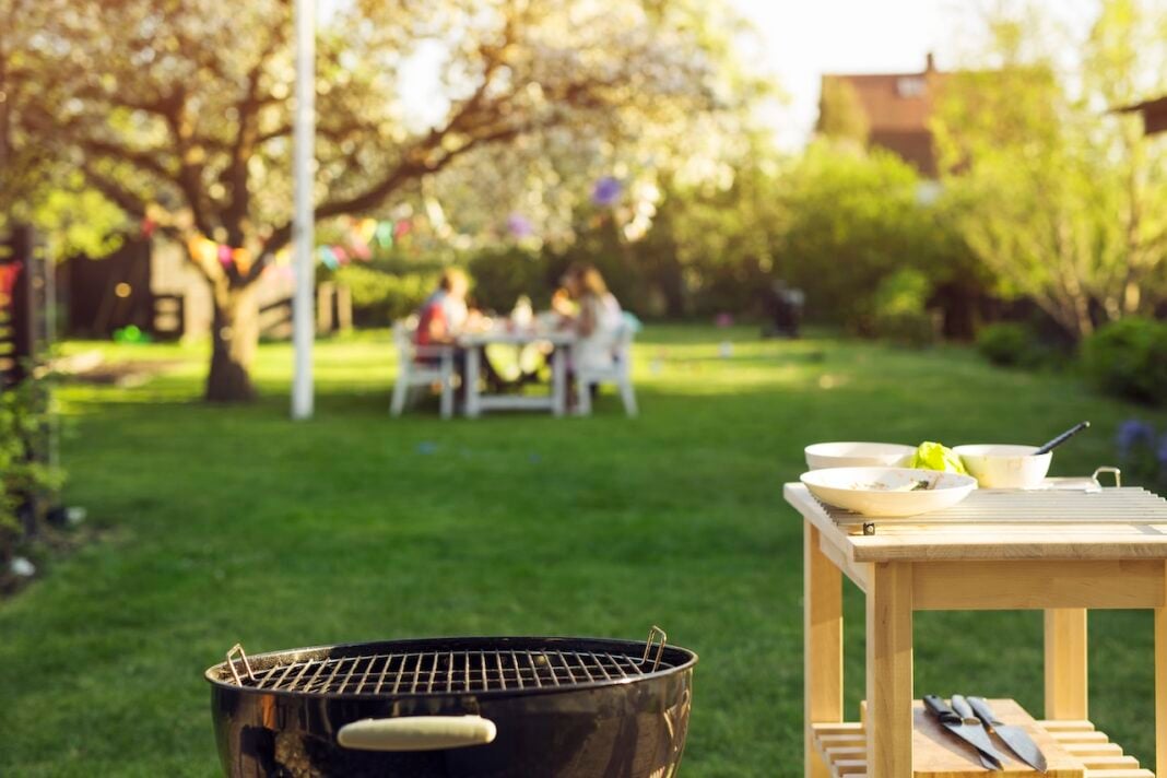 How to Protect Your Atlanta Backyard From Mosquitoes Before Summer Starts