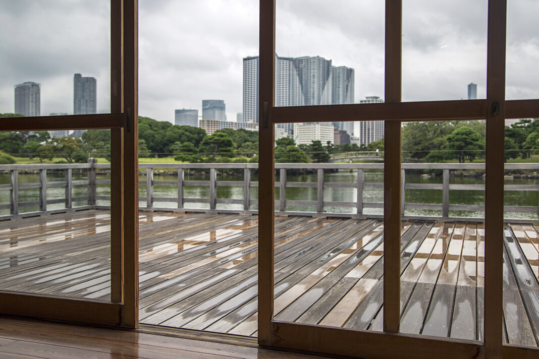 What Makes Large View Windows Harder to Maintain in Arizona?